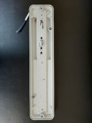 Светильник светодиодный антивандальный FL-LED DPB-01 SENSOR 12W 4500K (с оптико-акустическим датчиком)